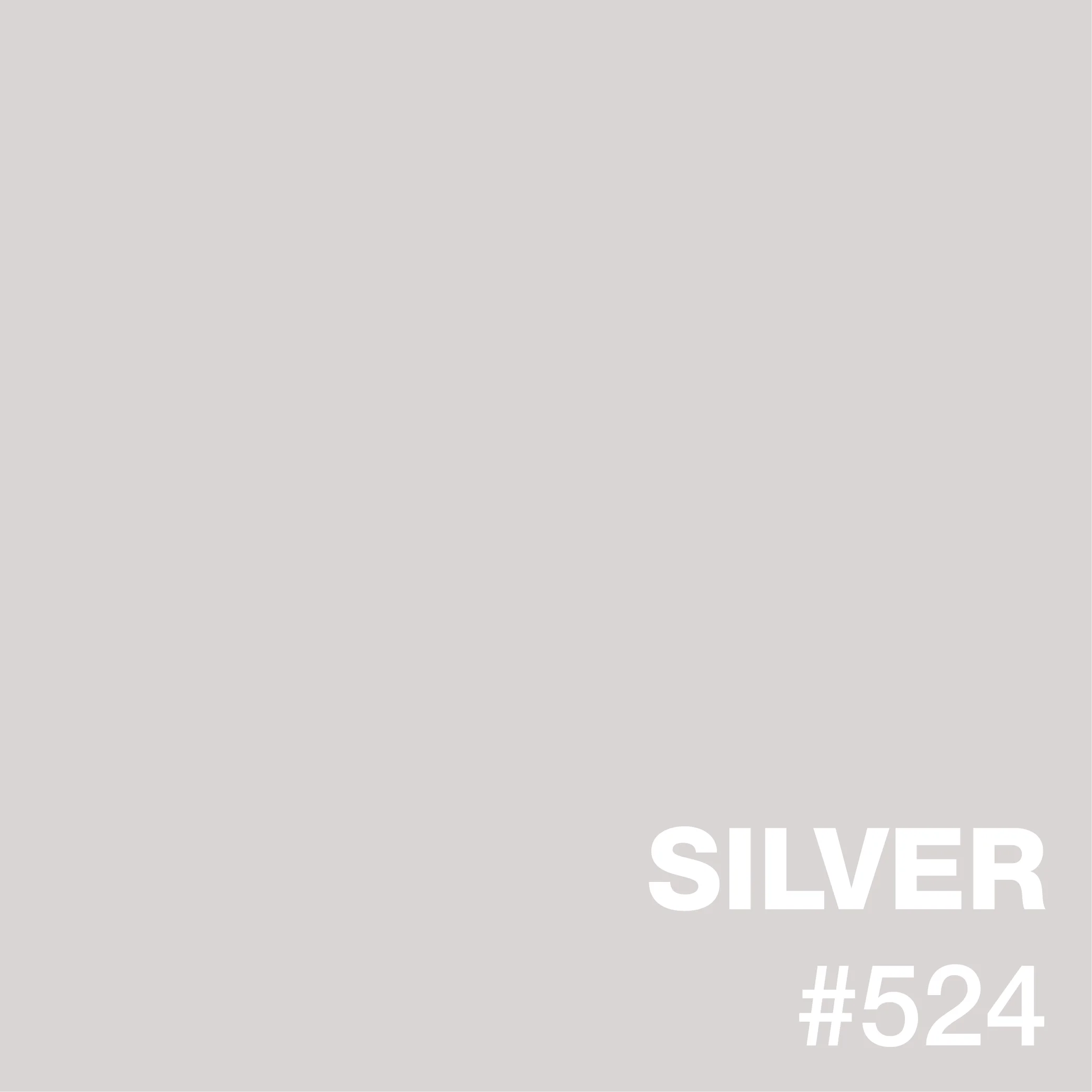 Silver epoxy floor with smooth, uniform finish and neutral gray tone