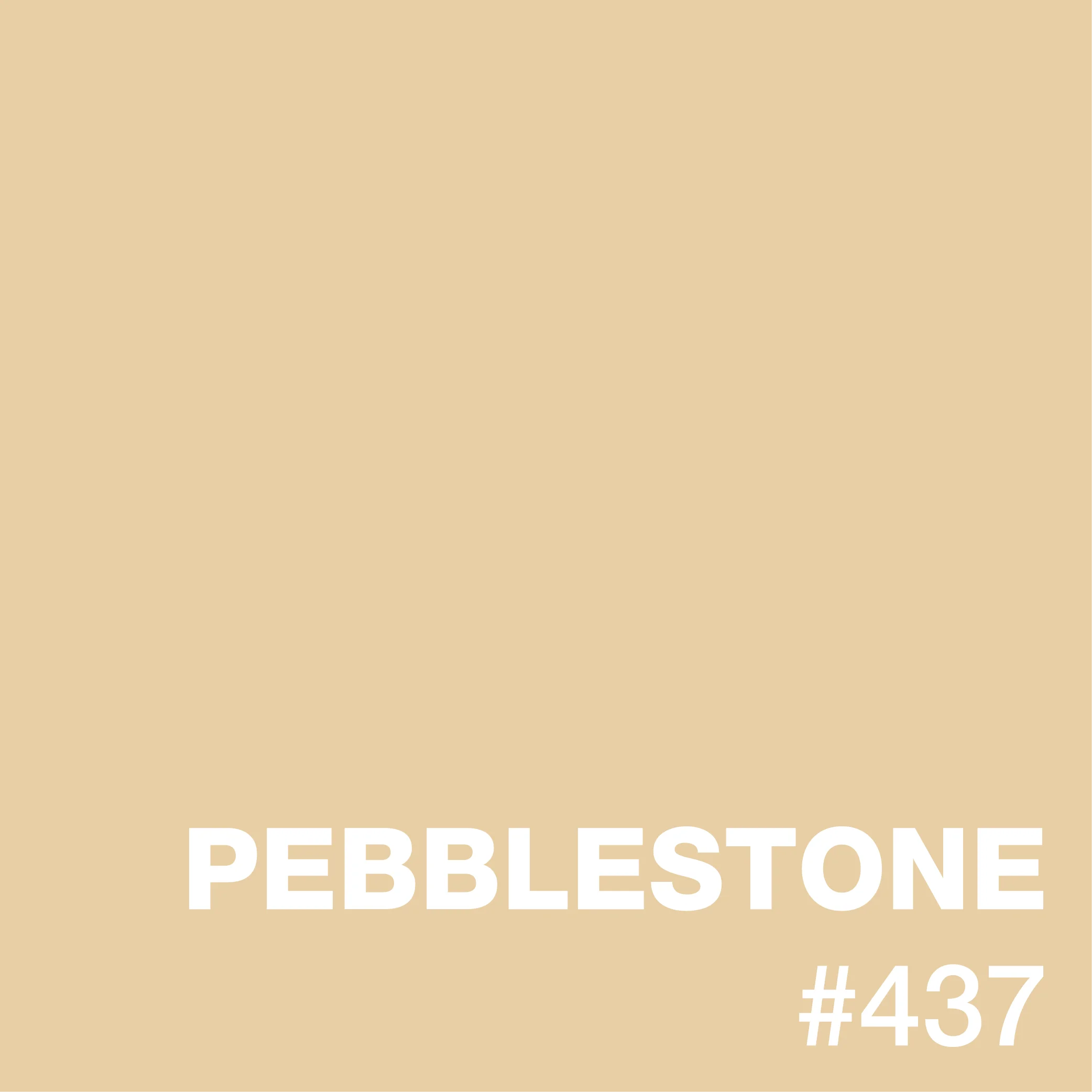Pebblestone epoxy flooring with tan and beige aggregate stones in seamless finish